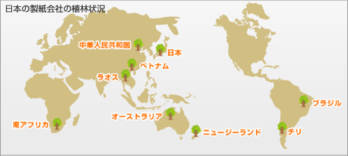 日本の製紙会社の植林状況
