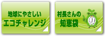 地球にやさしいエコチャレンジ