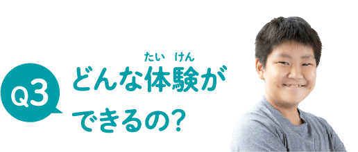 どんな体験ができるの？