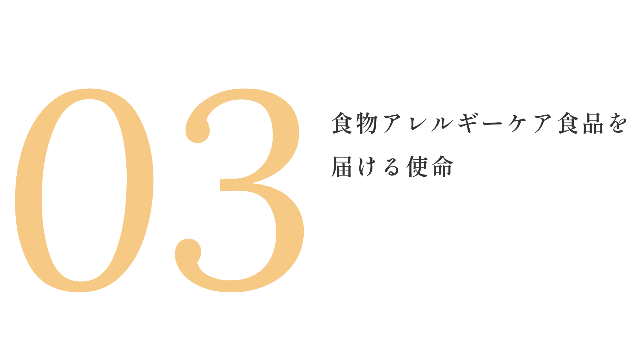 03 食物アレルギーケア食品を届ける使命